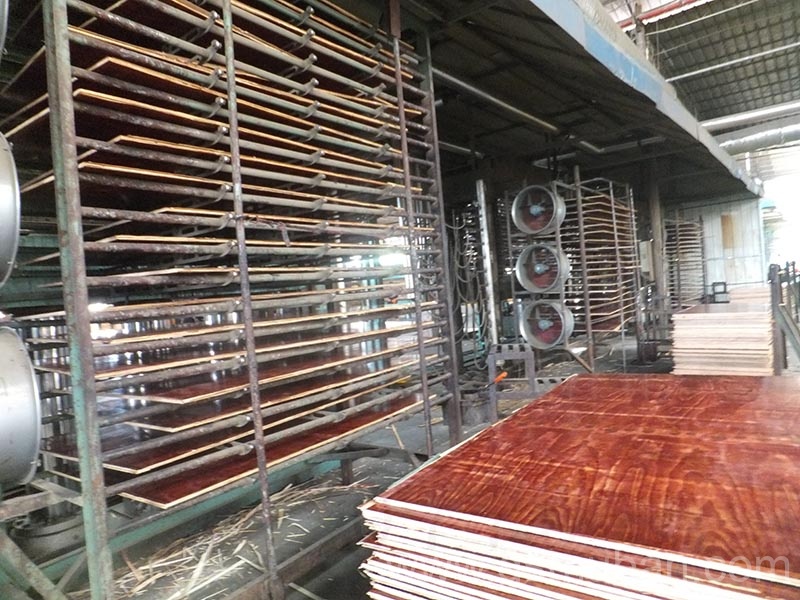 工地模板多少錢(qián)一平米?這樣選降低成本價(jià)格