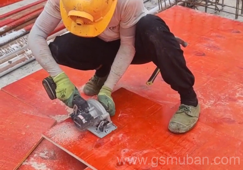 模板1830×920多少錢一張？多種規格報價