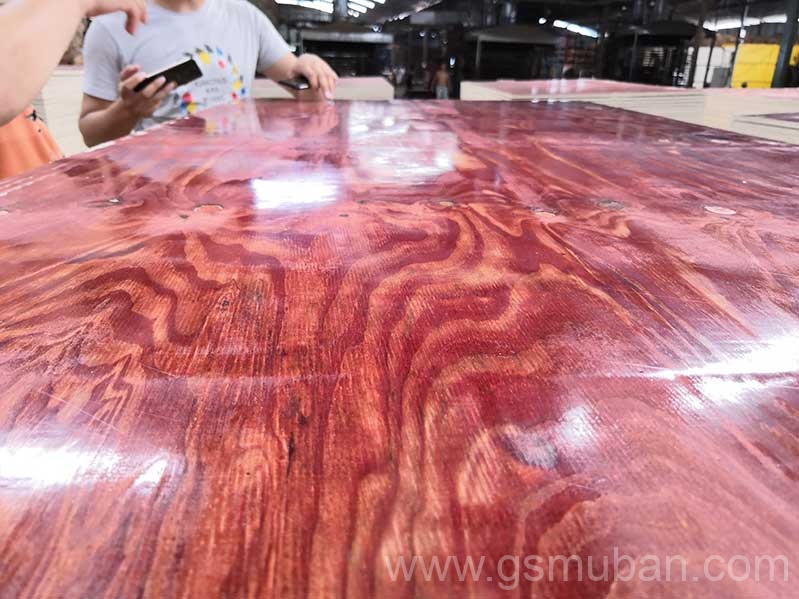 2025年建筑模板市場(chǎng)分析：機(jī)遇與挑戰(zhàn)并存！